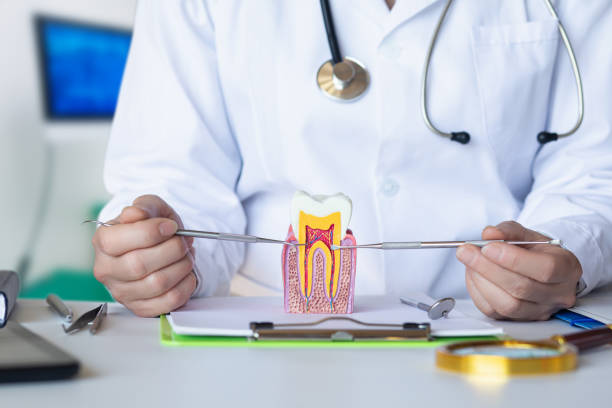 Best Emergency Gum Treatment in Ellisville, MO